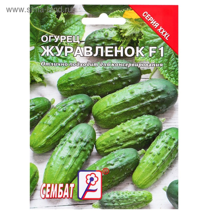 Огурцы Дом Семян Адам F1_1 - купить по выгодным ценам в интернет-магазине OZON (