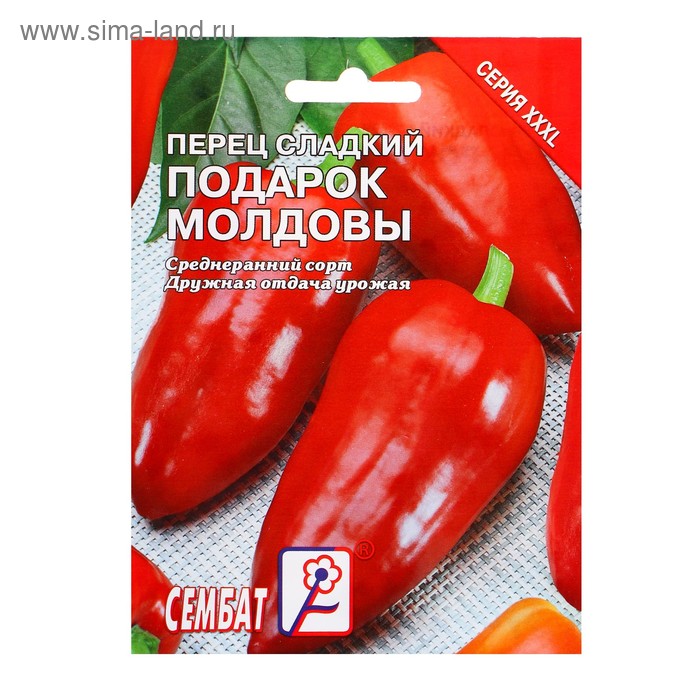 Подарок молдовы описание сорта фото отзывы