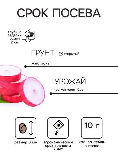 Семена Редис «18 дней», XXXL, «Сембат», 10 г