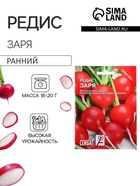Семена Редис «Заря», XXXL, «Сембат», 10 г - Фото 1