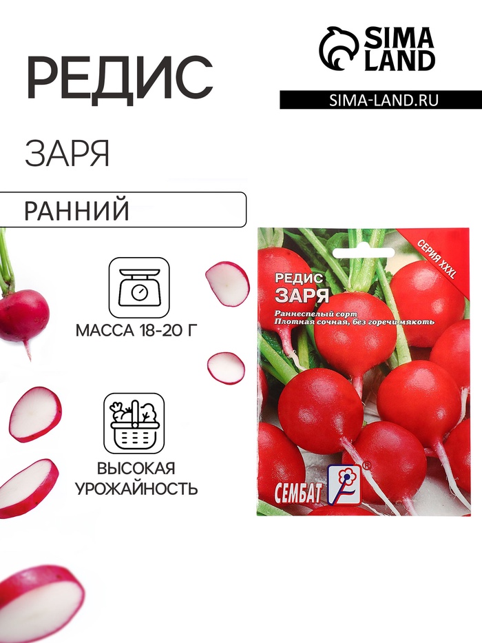 Семена Редис «Заря», XXXL, «Сембат», 10 г - Фото 1