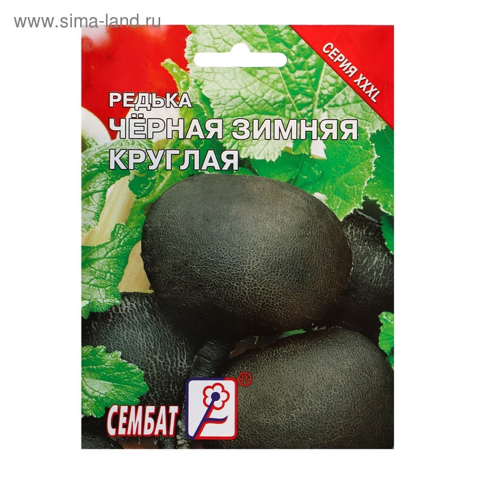 Семена ХХХL Редька Зимняя круглая черная, 10 г - Фото 1
