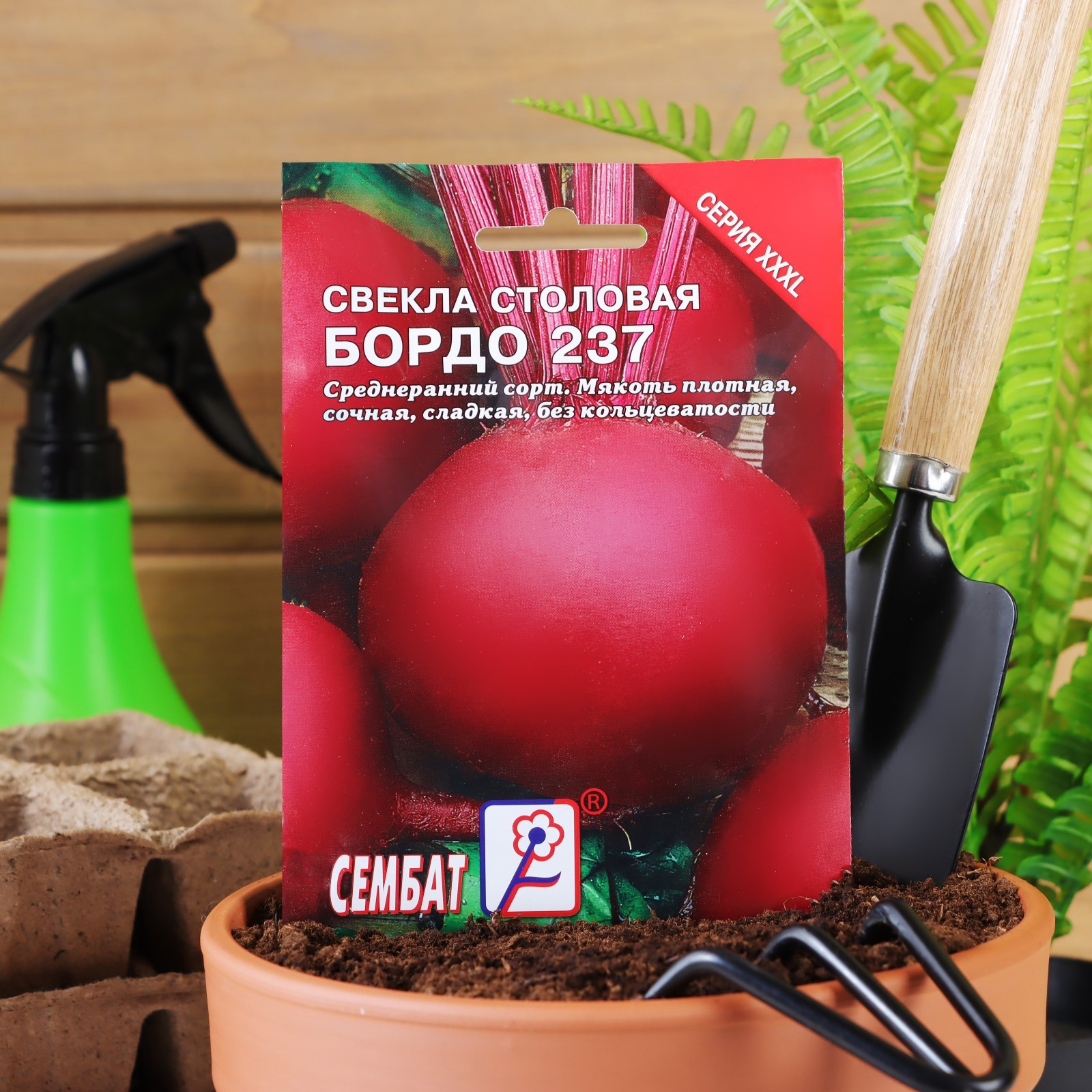 Свекла бордо 237 описание сорта. Свекла бордо 237. Свекла бордо 237 Greenstar. Свекла бордо 237 фото. Свекла бордо 237 000447.