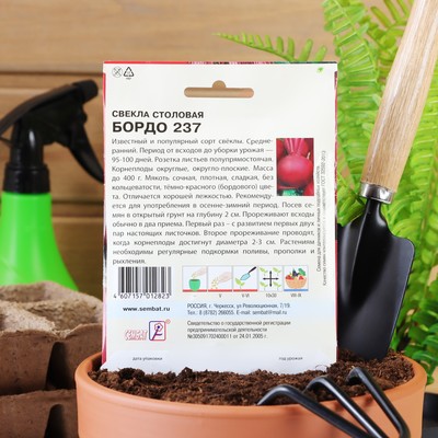 Семена Свекла «Бордо 237», XXXL, «Сембат», 7 г