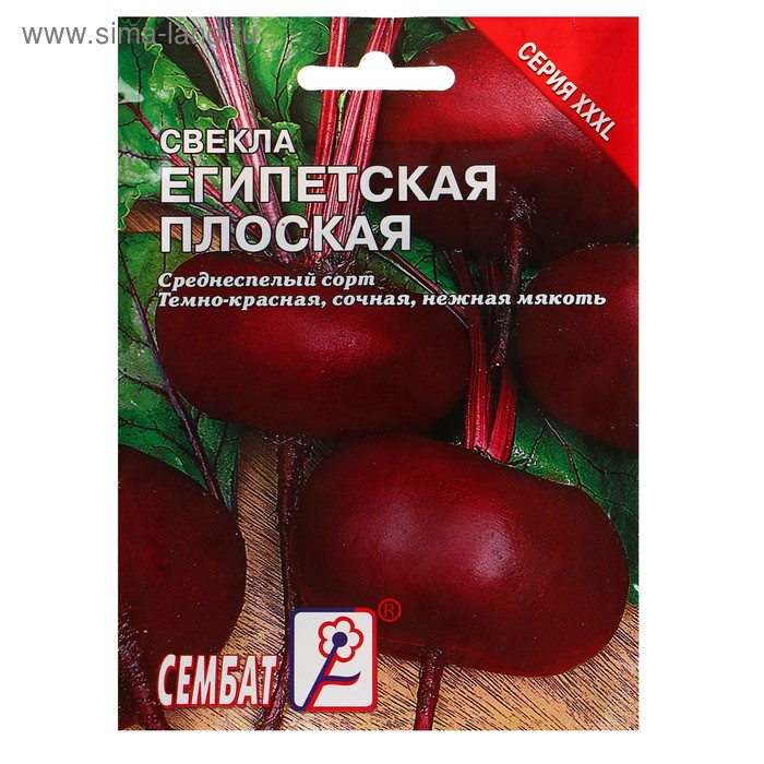 Семена ХХХL Свекла "Египетская плоская", 10 г - Фото 1