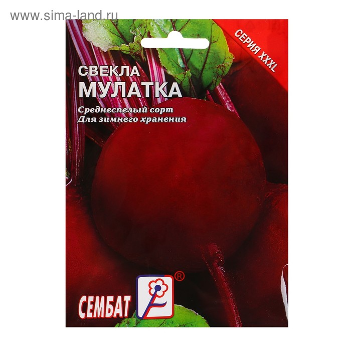 Семена Свекла «Мулатка», XXXL, «Сембат», 10 г - Фото 1