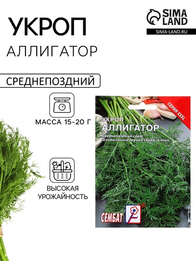 Семена Укроп «Аллигатор», XXXL, «Сембат», 20 г