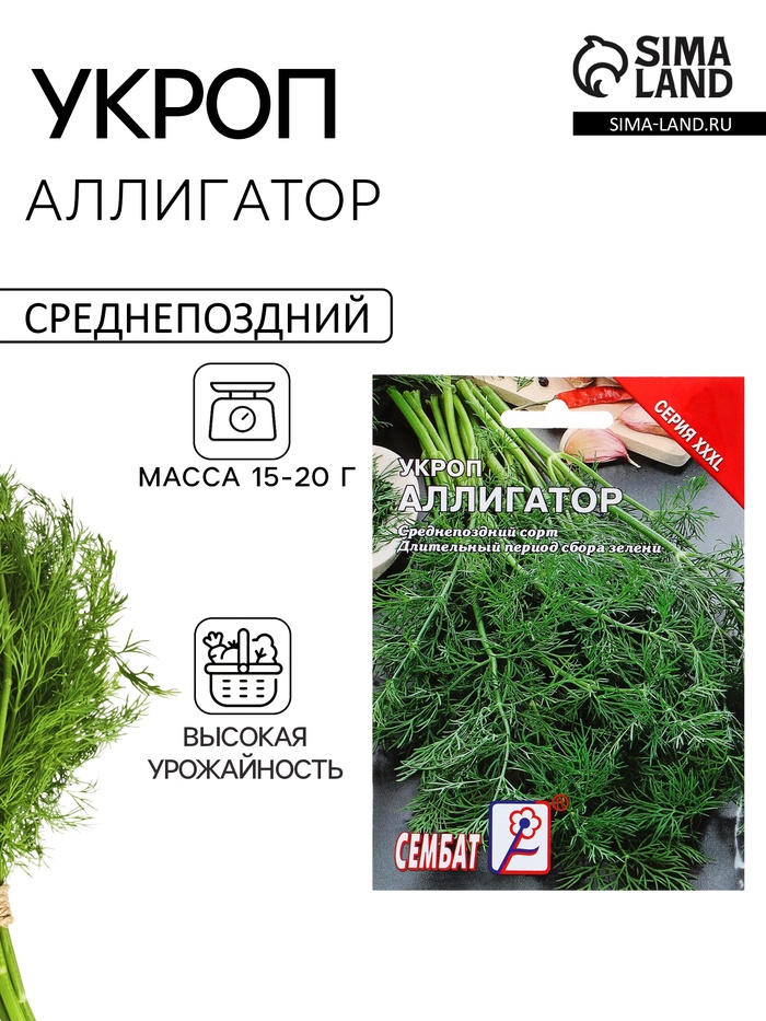 Семена Укроп «Аллигатор», XXXL, «Сембат», 20 г - Фото 1