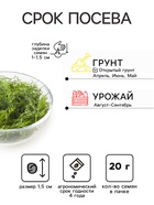 Семена Укроп «Аллигатор», XXXL, «Сембат», 20 г - Фото 2