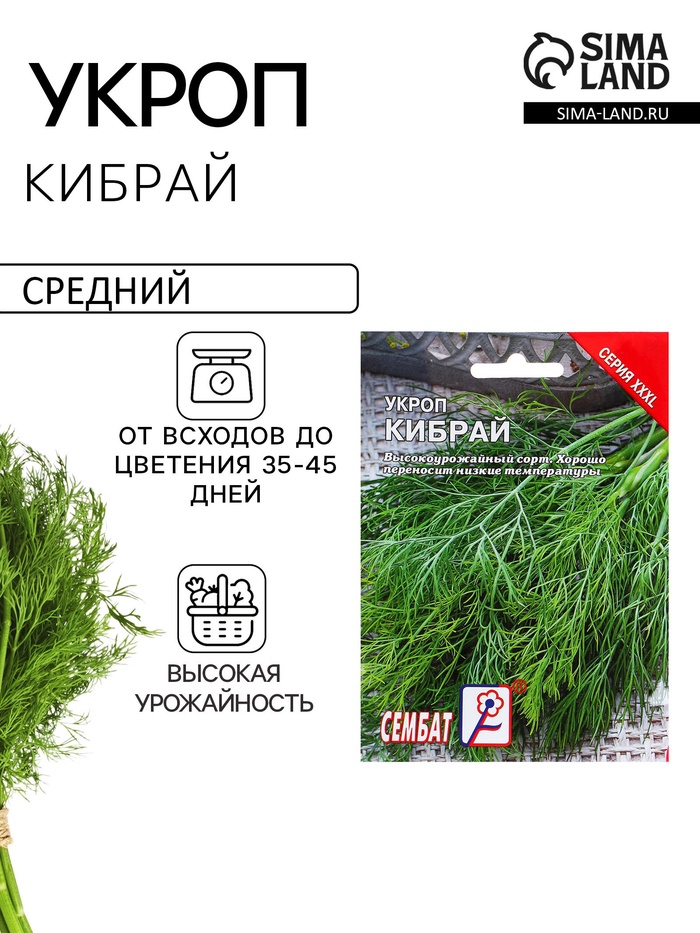 Семена Укроп «Кибрай», XXXL, «Сембат», 20 г - Фото 1