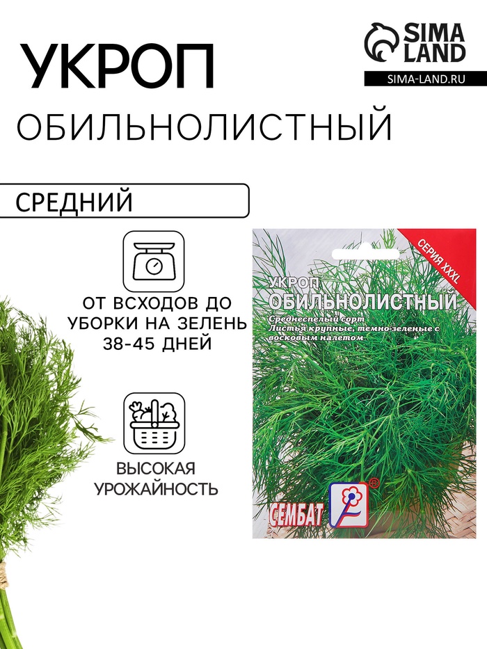 Семена ХХХL Укроп "Обильнолистный", 20 г - Фото 1