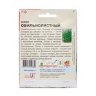 Семена ХХХL Укроп "Обильнолистный", 20 г - Фото 2