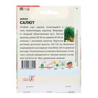 Семена ХХХL Укроп "Салют", 10 г - Фото 2