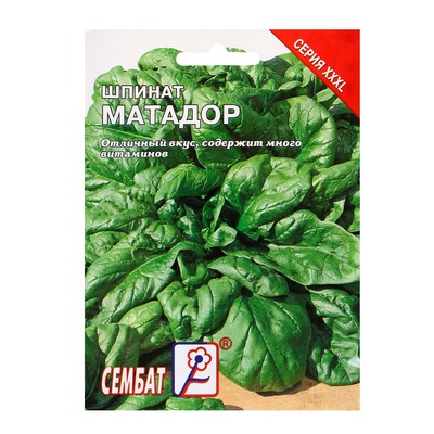 Семена Шпинат «Матадор», 10 г, ХХХL, «Сембат»