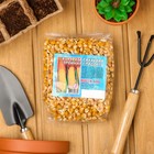 Семена Кукуруза сахарная "Тройная сладость", 500 г - Фото 3