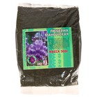 Семена цветов Люцерна "Сембат", "Манычская", 500 г - фото 8903880