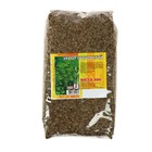 Семена Укроп "Грибовский", 500 г - Фото 3