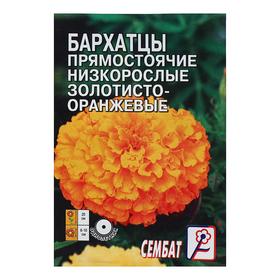 Семена цветов Бархатцы прямостоячий низкорослый золотисто-оранжевый, О, 0,1 г 4662875