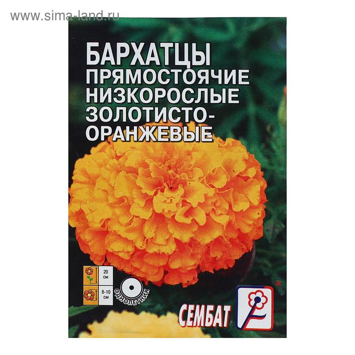 Семена цветов Бархатцы прямостоячий низкорослый золотисто-оранжевый, О, 0.1 г - Фото 1
