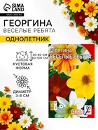 Семена цветов Георгина «Веселые ребята», однолетник, 0.1 г, «Сембат» - Фото 1