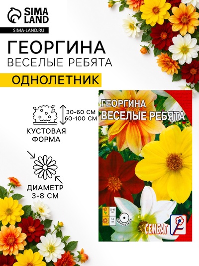 Семена цветов Георгина «Веселые ребята», однолетник, 0.1 г, «Сембат»