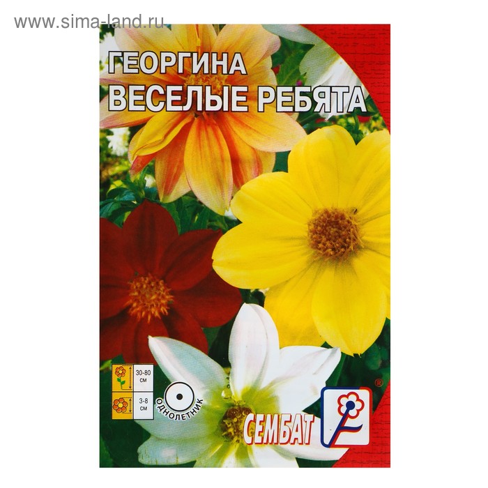 Семена цветов Георгина "Веселые ребята", О, 0,1 г - Фото 1