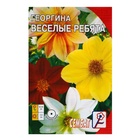 Семена цветов Георгина «Веселые ребята», однолетник, 0.1 г, «Сембат» - Фото 5