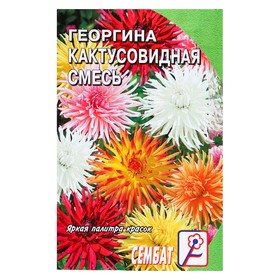 Семена цветов Георгина Кактусовидная смесь, О, 0,1 г 4662880