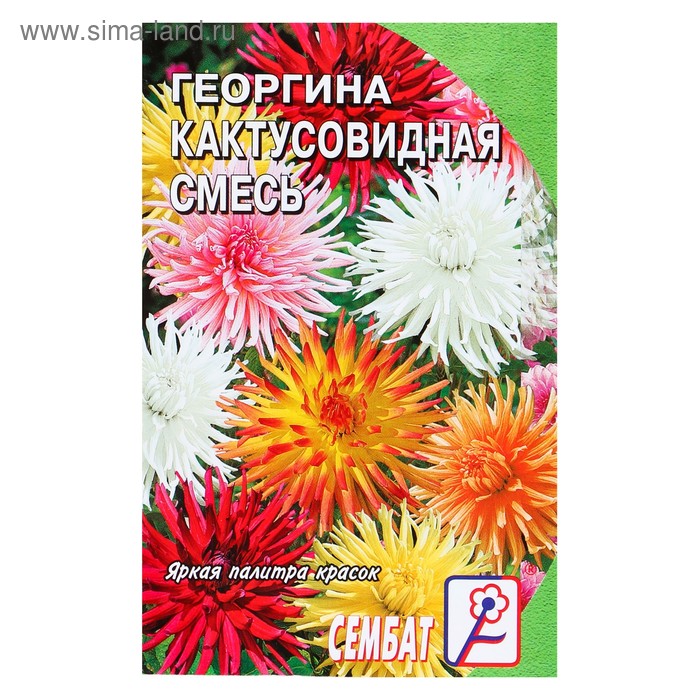 Семена цветов Георгина Кактусовидная смесь, О, 0,1 г - Фото 1