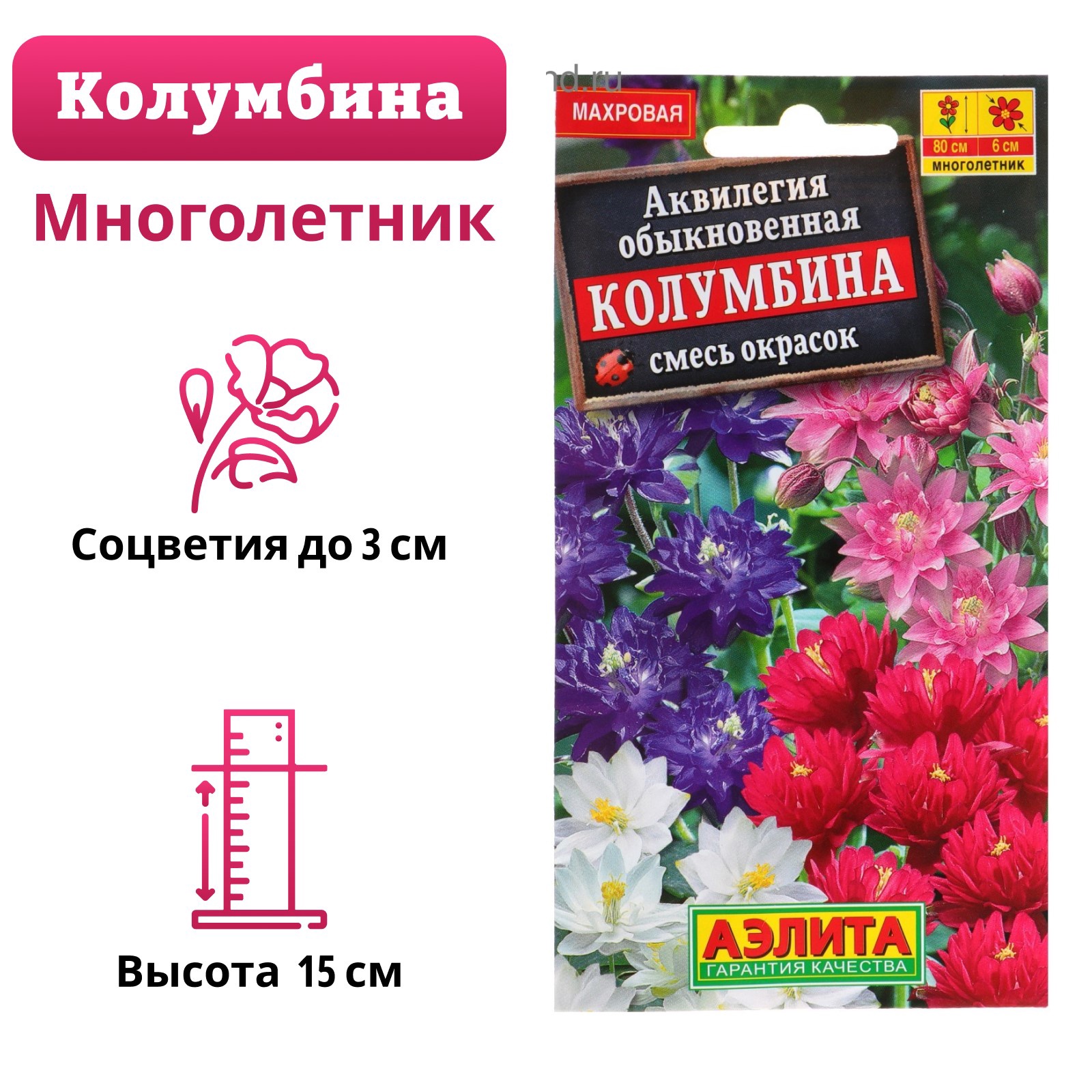 Маргаритки Семена Купить