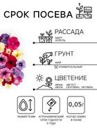 Семена цветов Петуния «Гибридная смесь», 0.05 г, однолетник, «Сембат» - Фото 2