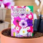 Семена цветов Петуния «Гибридная смесь», 0.05 г, однолетник, «Сембат» - Фото 7
