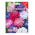 Семена цветов ХХХL Астра "Пионовидная смесь", О, 2 г - фото 9499351