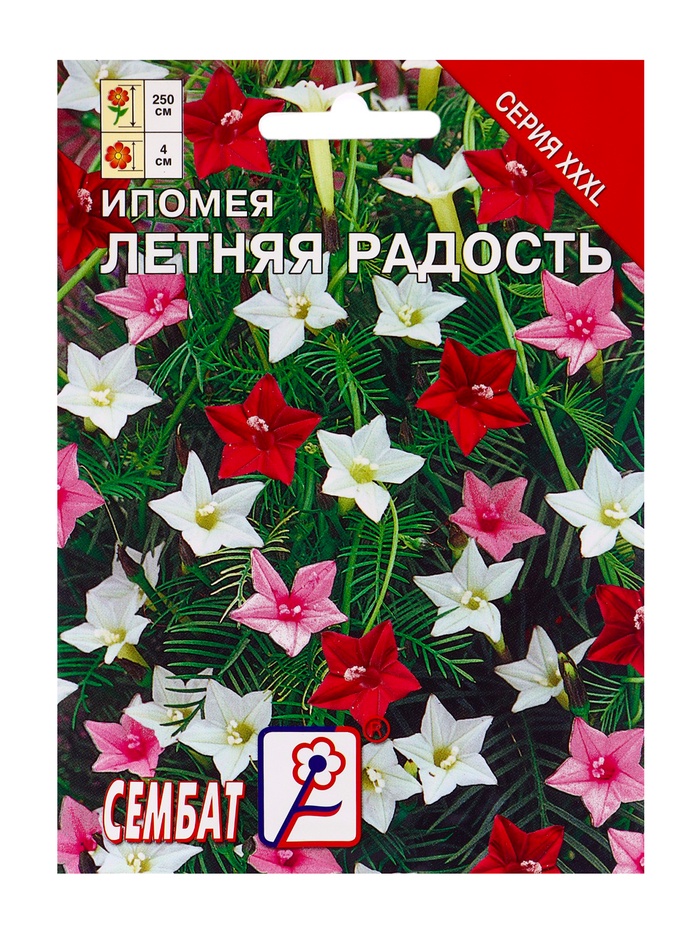 Семена цветов ХХХL Ипомея "Летняя радость" Ёлочка, О, 0,5 г - Фото 1