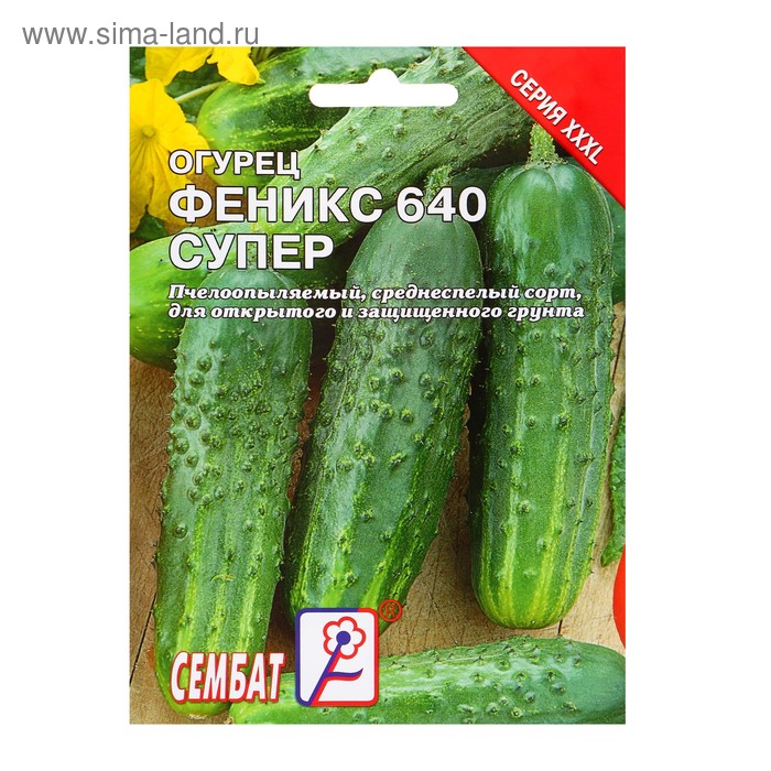 Огурец феникс описание отзывы фото посадка Огурец феникс описание отзывы фото посадка