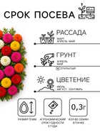 Семена цветов Цинния «Лилипут» смесь, 0.3 г, «Сембат» - Фото 4