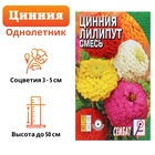 Семена цветов Циния "Лилипут" смесь, 0,3 г - Фото 1