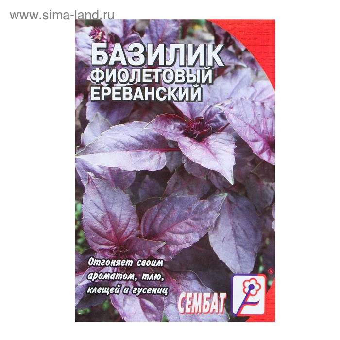 Семена Базилик фиолетовый Ереванский, 0,2 г