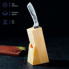 Подставка для ножей Доляна, 11×6×20 см, дерево - Фото 2