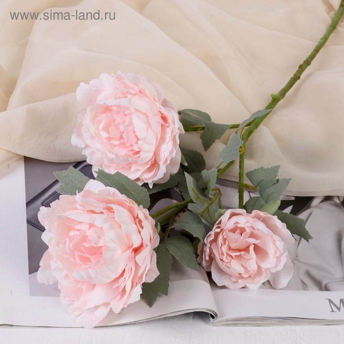 Цветы искусственные «Пион Лунная река», 12×85 см, розовые - Фото 1
