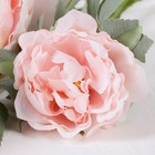 Цветы искусственные «Пион Лунная река», 12×85 см, розовые - Фото 2