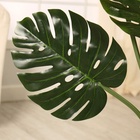 Дерево искусственное «Монстера», h=65 см 4557825