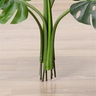 Дерево искусственное «Монстера», h=65 см 4557825