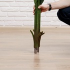 Дерево искусственное «Длинный лист», h=150 см, листья 36×22, 44×24, 53×26 см - фото 51720489