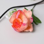 Декор ветка "Пион с крупными листьями" 150 см, микс (фасовка 5 шт, цена за 1шт) 4560083