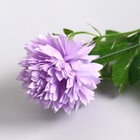 Декор ветка "Астра с цветочками" 150 см МИКС (фасовка 5 шт, цена за 1шт) (комплект 5 шт) - фото 25426202