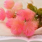 Букет «Овсянница», 30 см, МИКС 4560175