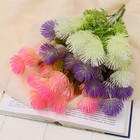 Букет «Овсянница», 30 см, МИКС 4560175