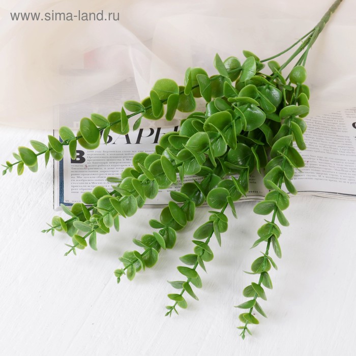 Букет искусственный «Эвкалипт», h=45 см - Фото 1