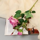 Цветы искусственные "Роза душистая" 9х50 см, бело-сиреневый микс - фото 8904168